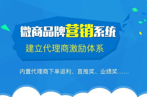 辽阳的微商平台哪家强？如何挑选最适合的电商基地？