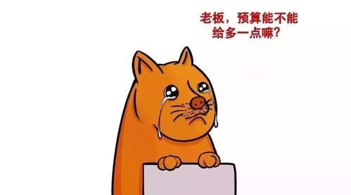 农村开设猫舍真的能盈利吗？投资回报率如何？