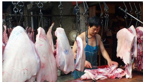 农村大集市卖猪肉，真的能赚到钱吗？背后利润有多少？
