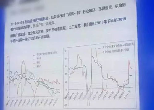 鹅养殖盈利如何？投资回报率高不高？是否值得尝试？