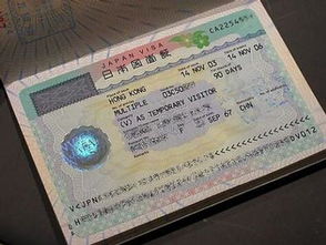 如何在日本更新签证并合法开展副业？