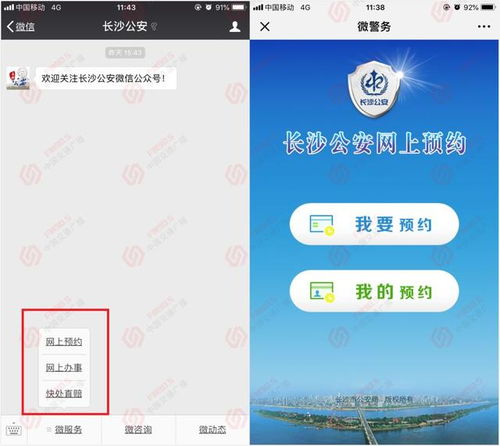 哪些平台是自助交友网站中的佼佼者？探索热门自助交友平台的指南