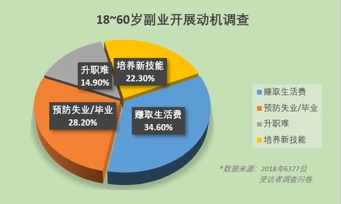 如何在北美找到高收益副业实现额外收入？