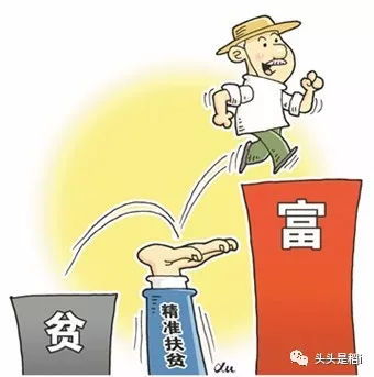 农村兽医副业涵盖哪些领域？你想知道的都在这里！