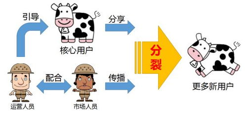 哪些公司运营的脱单自助平台最受欢迎？探索单身人士的恋爱新选择