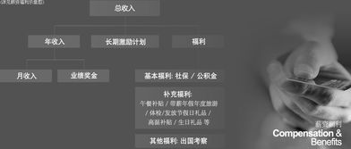 杭州安道国际实力如何？安道在杭州的表现究竟怎样？