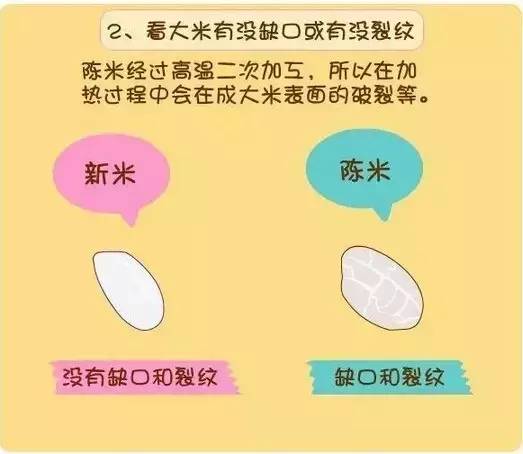 如何实现多赚钱与多睡觉的双赢生活秘诀？