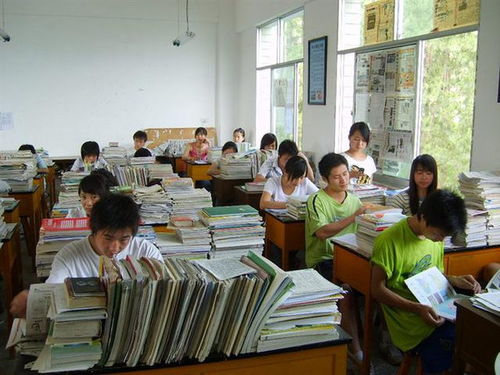 高中女生如何兼顾学业与副业？成功经验分享