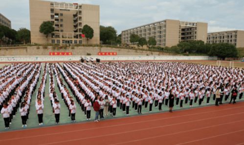 泉州刺桐中学教学质量如何？是否值得选择？