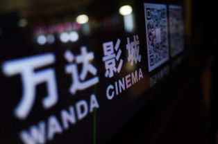TNT团队究竟在经营什么副业？背后隐藏着怎样的商机？