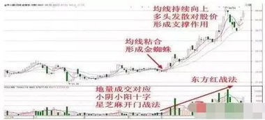 哪些炒股技巧能助你稳步盈利？探索高效赚钱法门