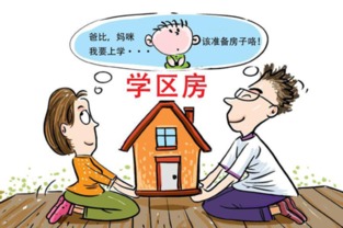 月儿的副业究竟是什么？她如何成功拓展第二收入来源？