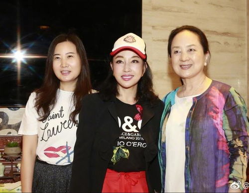 沈殿霞肥姐除了演艺事业，还涉足哪些副业领域？
