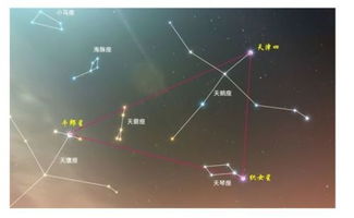 牵牛星究竟为何物？它属于哪一类星体？