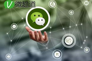 如何在微信平台上找到盈利之道？哪些途径能有效帮助我们实现赚钱目标？