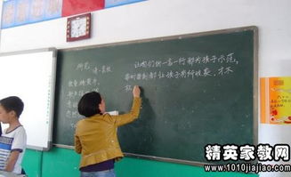 语文老师如何兼顾教学与副业？兼职之道详解