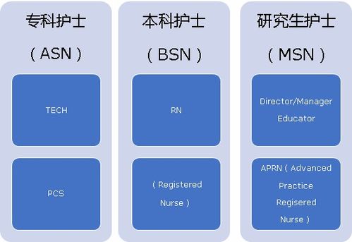 护理工作具体包含哪些职责和任务？