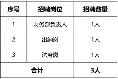 出纳人具体指什么？出纳人的定义和职责详解