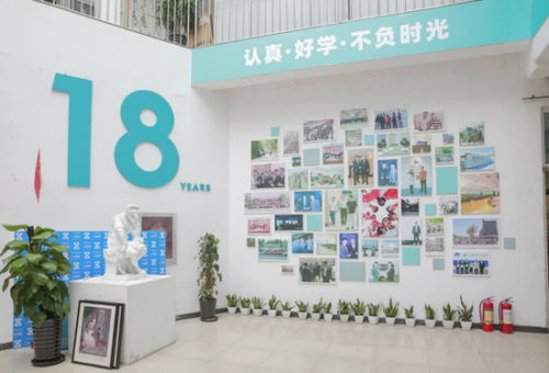 哪些平台是自助画室的最佳选择？探索 top 自助画室平台的秘密！