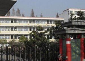 南湖一小办学质量如何？南京家长的真实评价揭秘