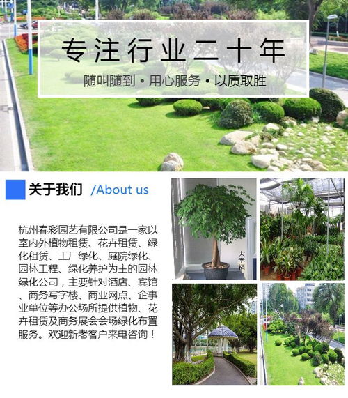 下城区绿植租赁业务盈利前景如何？值得一试吗？