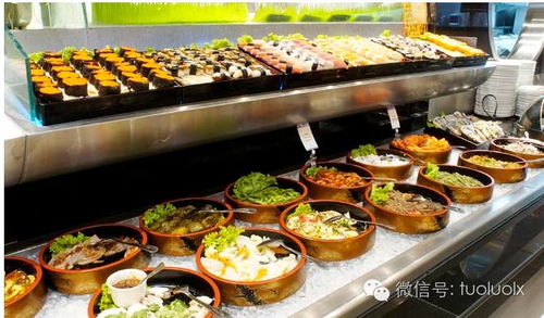 哪些国外自助餐测评网站值得信赖？深度解析最佳选择指南！