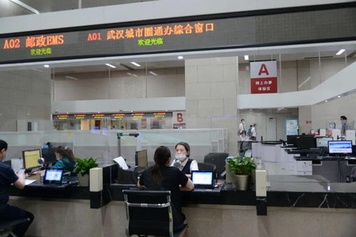 如何在处理快递的同时开展副业增加收入？