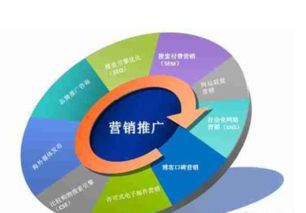 新装修品牌与公司如何高效推广？市场策略全解析