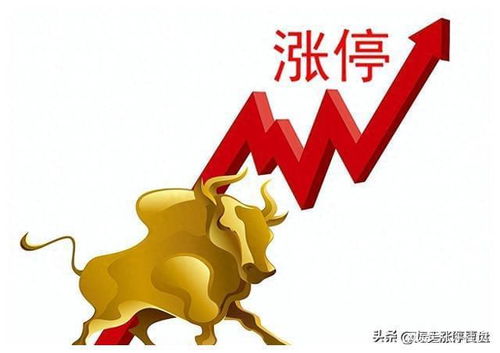 老驴记副业究竟是如何在业余时间实现财富增长的？