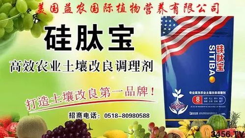 农村夏季商机何在？哪些商品热销能赚钱？