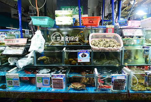 哪些平台是海鲜自助探店的宝藏之地？探索最佳选择指南！