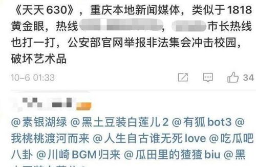 黑路子真的能稳赚不赔吗？揭开灰色收入的真相