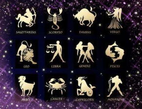 你知道12星座分别最适合经营哪种美食来赚大钱吗？