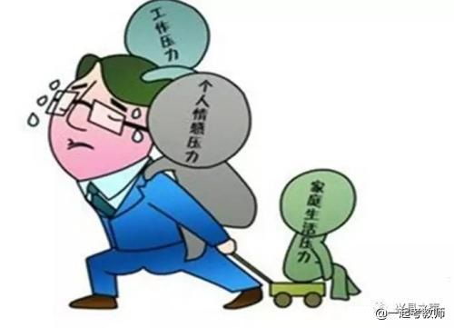 老师难道只是副业？真相令人深思