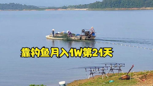 钓鱼直播真的能赚钱吗？如何通过直播钓鱼实现收入增长？