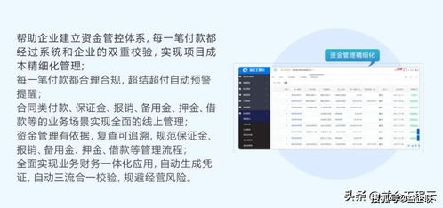 6亩地小厂如何选择项目才能高效盈利？