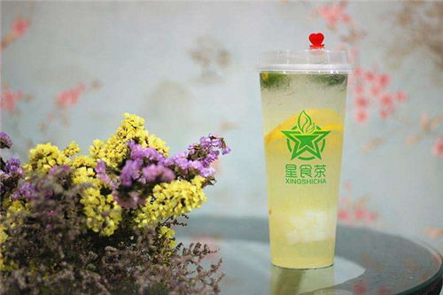 星食茶加盟费用究竟是多少？投资者需知详情解析