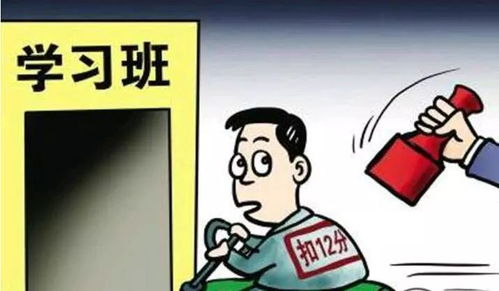 你知道如何通过几分利实现高效挣钱吗？