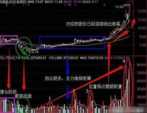 中国股市真的是最容易赚钱的市场吗？
