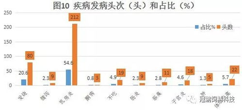 养玉鸟能否成为赚钱新途径？经济效益分析探讨