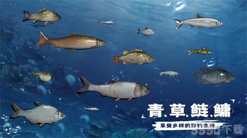 哪些自助捕鱼平台在天津最受欢迎？探索当地最佳自助钓鱼体验！