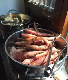 哪些是广州最佳的素食自助团购平台？这里有你不可错过的推荐！