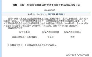 哪些网站可以进行自助公示的中标信息查询？