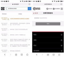 哪些自助下单平台正成为热门选择，你知道吗？