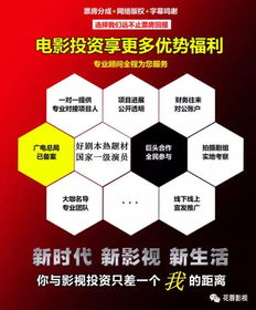 为何项目不仅不盈利，反而倒贴资金？背后原因究竟是什么？