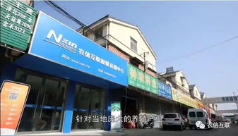 哪些自助团购平台在红桥最受欢迎？探索红桥本地团购的新选择！