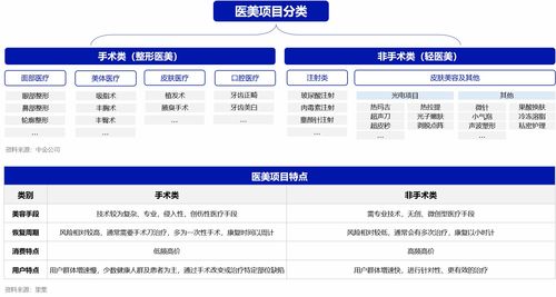 哪些网站提供医美自助查询服务？全面解析热门医美信息查询平台