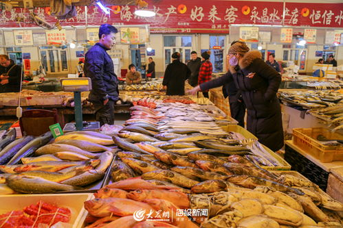 哪些网站是海鲜自助进货的首选？探索最佳海鲜采购平台大揭秘