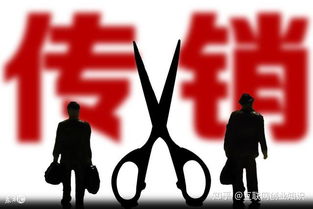 乡镇如何选择适合自己的副业项目？