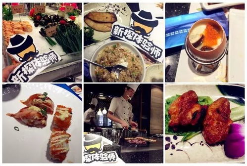 哪些网站通常提供自助餐信息？探索最佳自助餐推荐平台！